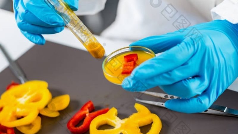预制菜厂家直销，揭秘价格背后的秘密